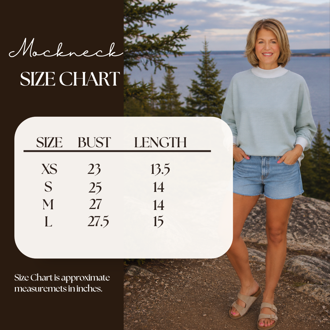 Summit Mist Striped Mock Neck Sweatshirt